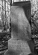 At Rest 29